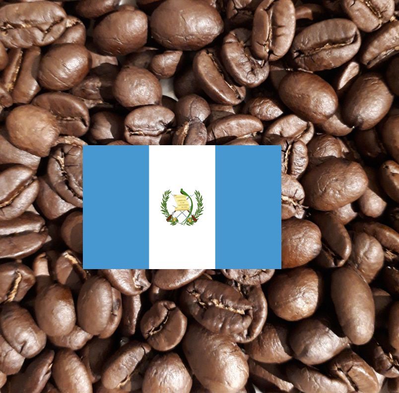 グアテマラ カフェ・ピューマ（200g） | Caffe La Costa