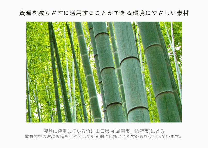 国産竹からうまれた天然アウトドアスプレー（虫除け）バンブーミスト