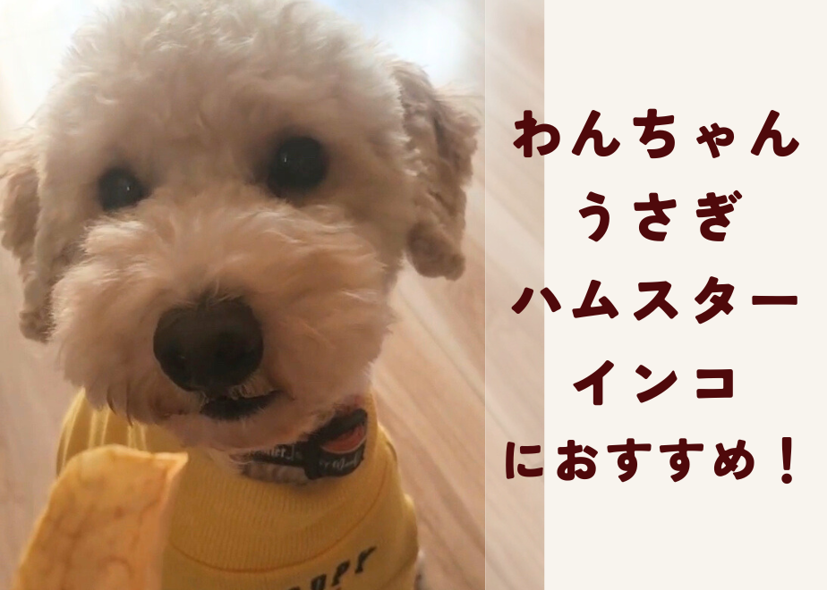 6757bbd4044f890331a66474