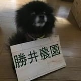 勝井農園