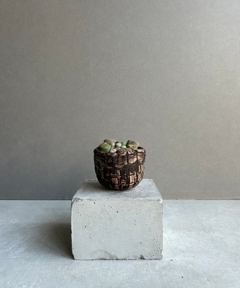 リトープス + plantsmonsters pot「Lithops」70L | SHOUCH