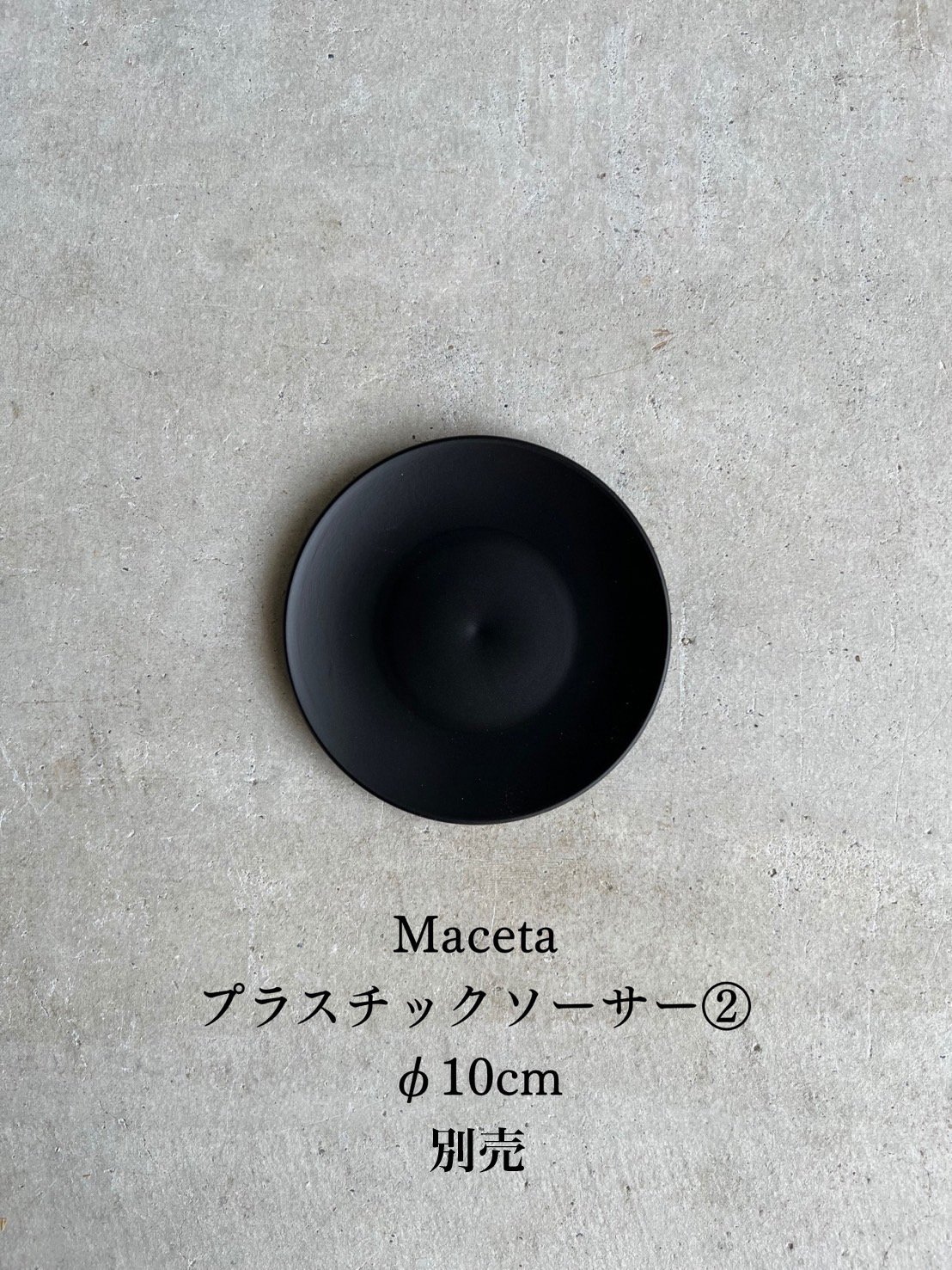 サンセベリア レディ メイ「Sansevieria Lady May」99I | SHOUCH