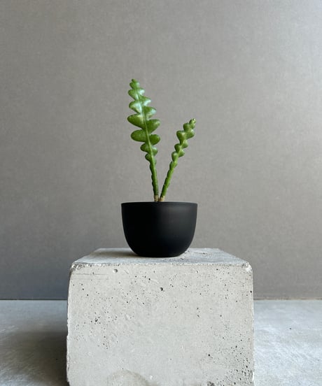 ゲオメトリクス＆鉢 Brainworx bx_console N – Plugin Alliance