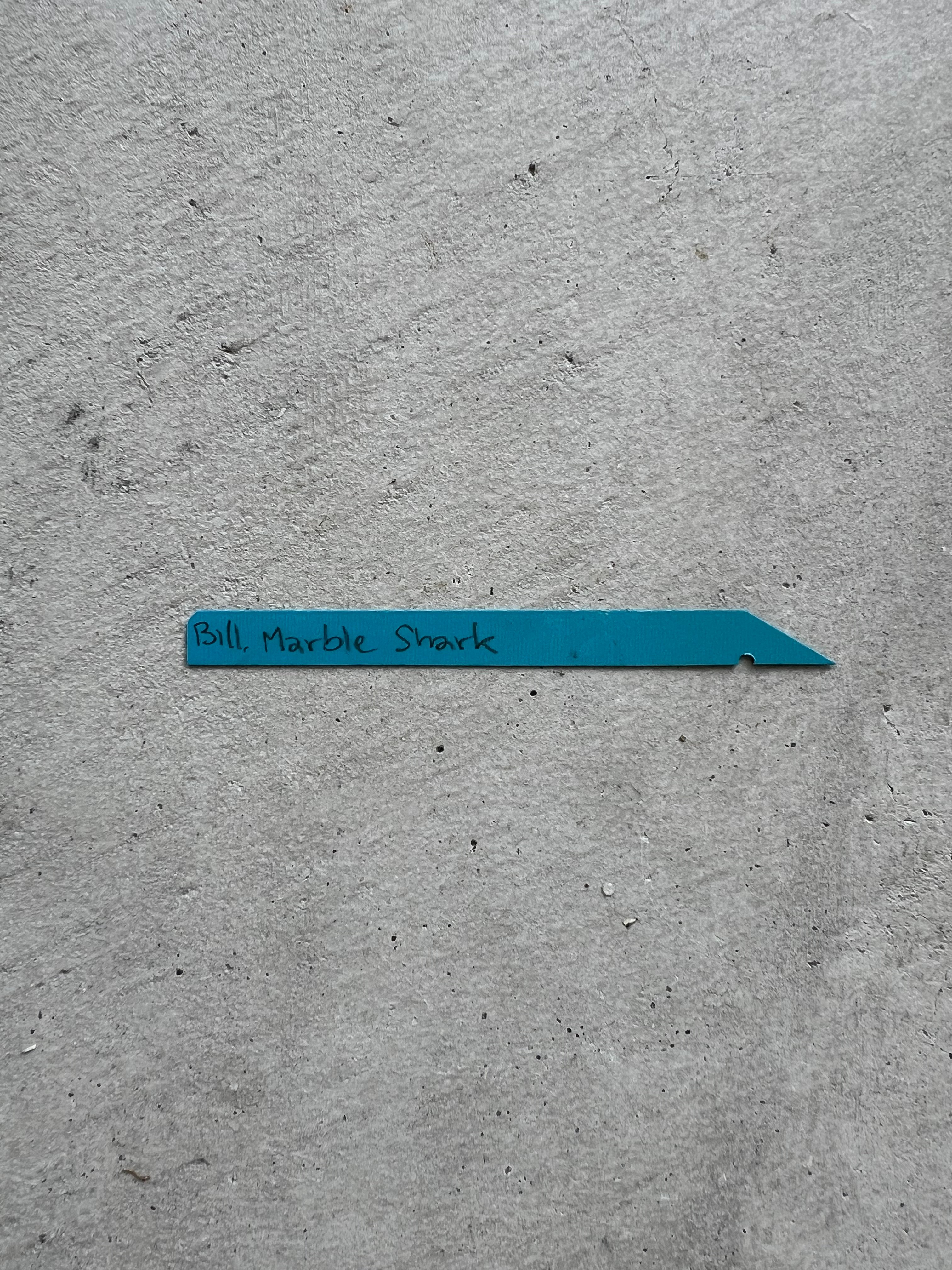 ビルベルギア コラン マーブル シャーク 「Billbergia Kolan Marble S