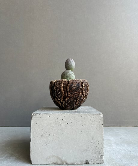 CATEGORY plants monsters | SHOUCHIKUEN