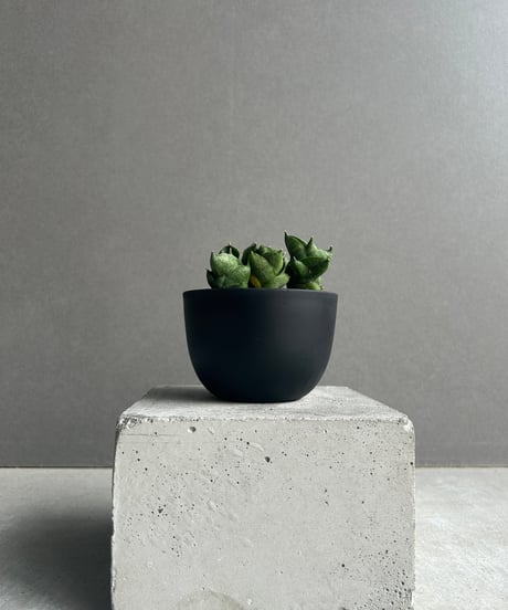 ちょくみ様 多肉植物棚 GAI-W655A ちょくみ様 多肉植物棚 GAI-W655A