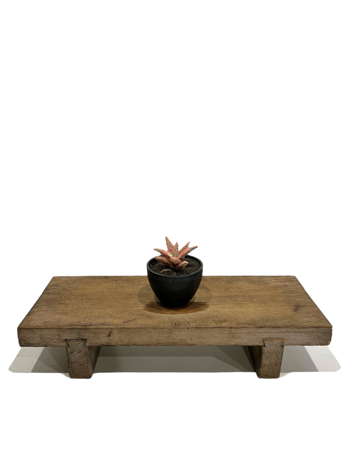 アロエ テンプラ 「Aloe Tempra」8L | SHOUCHIKUEN