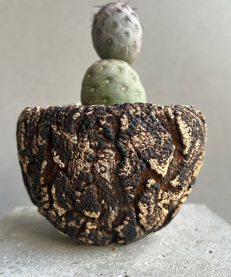 テフロカクタス ゲオメトリクス+plantsmonsters pot 「Tephrocactu
