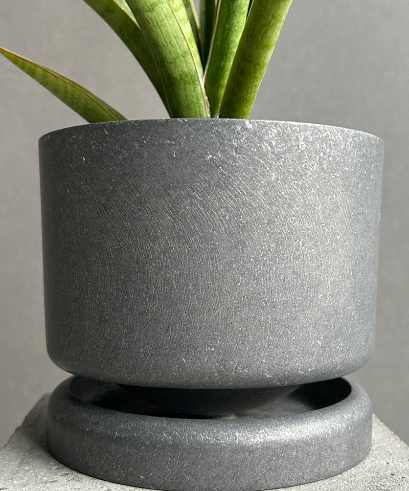 サンセベリア コヨーテ+STAND BY ME POT 「Sansevieria Coyote