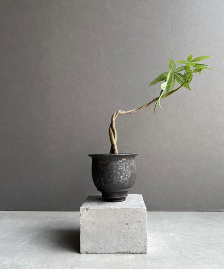 CATEGORY object by 1218 | SHOUCHIKUEN