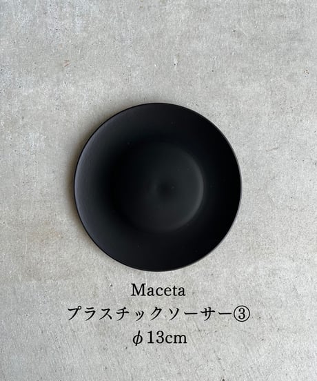 エクメア チャンティニー ブラック セレクト 「Aechmea chantinii Black Select」78M