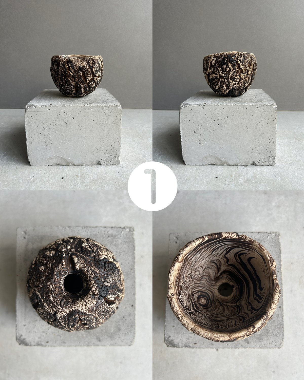 6個】plants monsters pot 1-6 | SHOUCHIKUEN