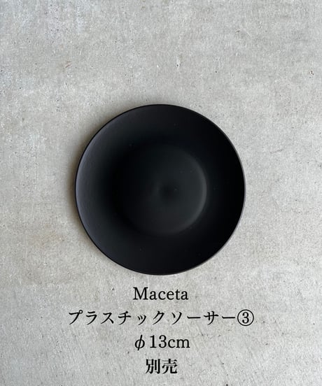 アエオニウム ‘シャネル’ 「Aeonium ‘Chanel’」11M