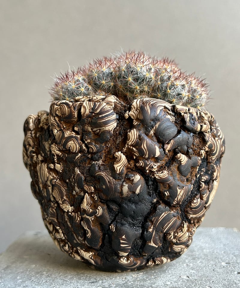 マミラリア 松霞+ plantsmonsters pot 「Mammillaria multi