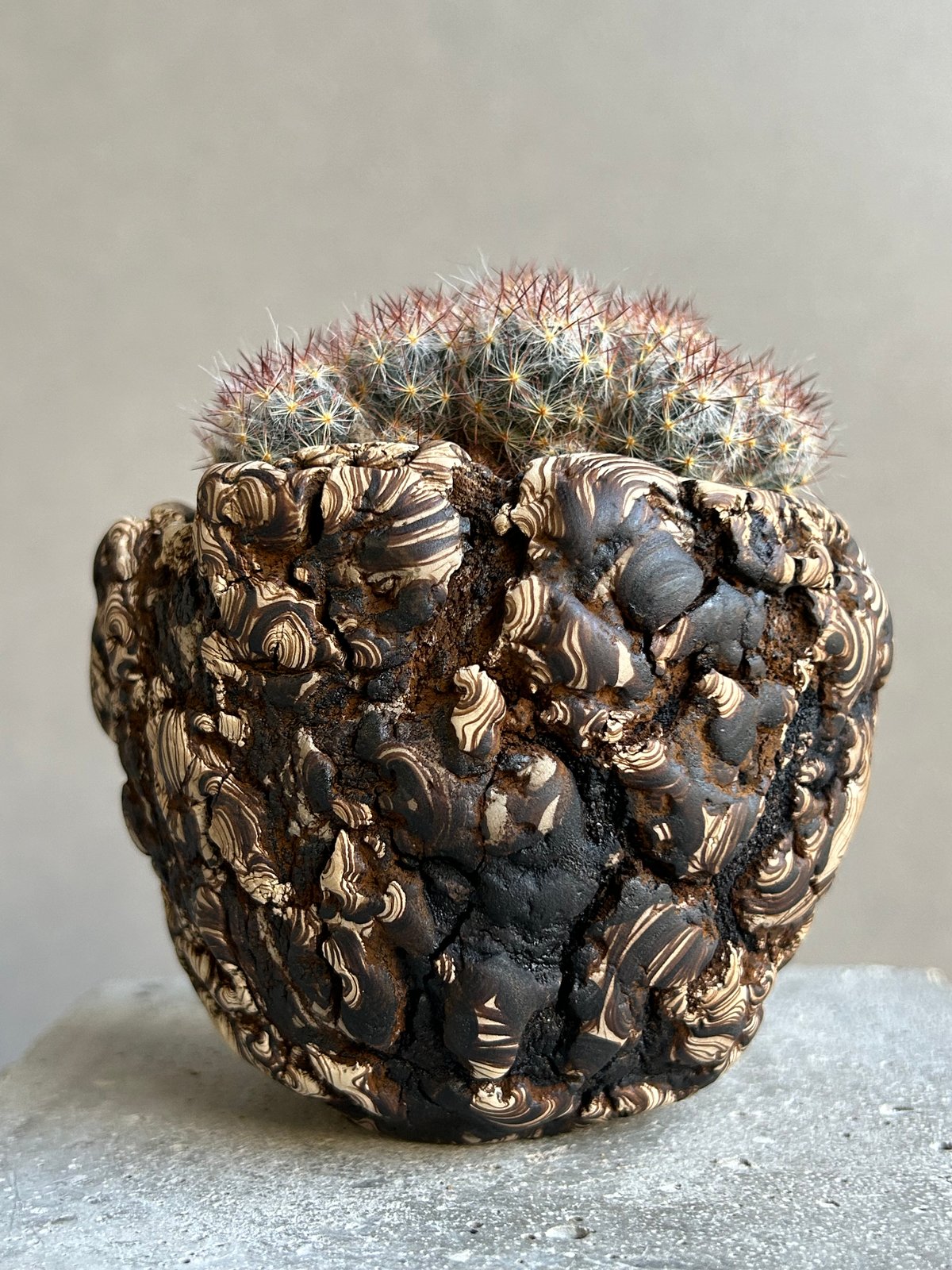 マミラリア 松霞+ plantsmonsters pot 「Mammillaria multi