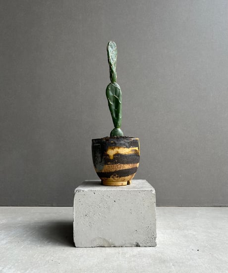 CATEGORY Plants | SHOUCHIKUEN