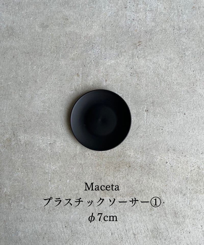 サンセベリア ブア カーオ「 Sansevieria Buakaw(by Unyamanee