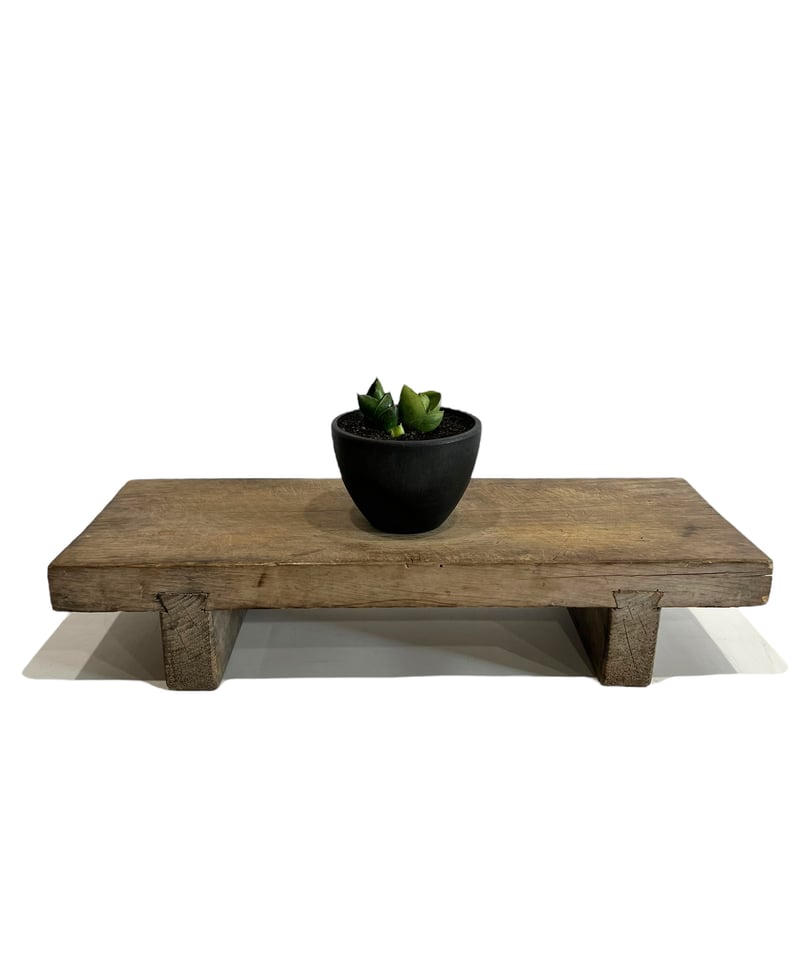 サンスベリア Sansevieria Benjarong サンセベリア ベンジャロン 「Sansevieria Benjarong」 タイの