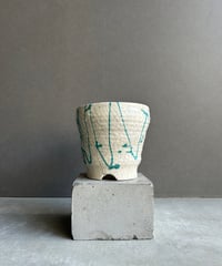 サンスベリア マニーパッキャオ 斑入 サンセベリア マニー パッキャオ 斑入 Sansevieria Manny Pacquiao