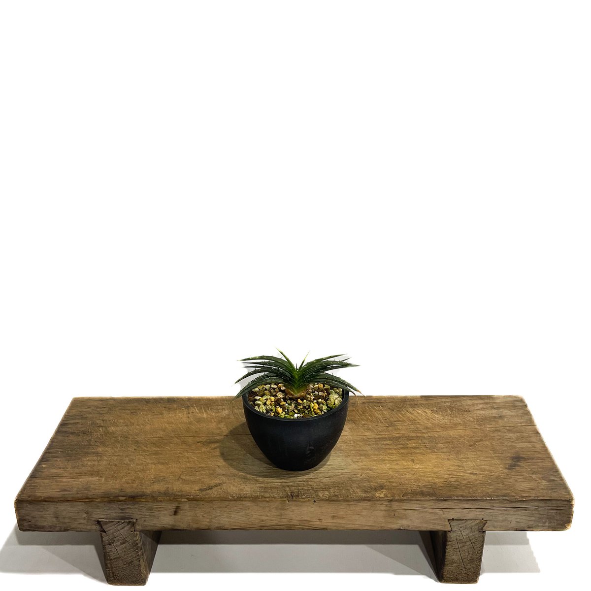 ディッキア スマイル (ドワーフ タイプ ハイブリッド)「Dyckia Smile