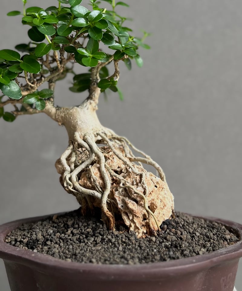 茄子文鎮(畦地他喜男)作 茄子文鎮(畦地他喜男)作