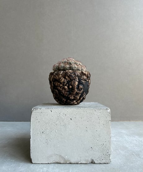 CATEGORY plants monsters | SHOUCHIKUEN