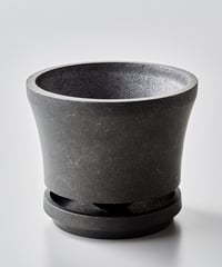 ビルベルギア コラン マーブル シャーク 「Billbergia Kolan Marble S