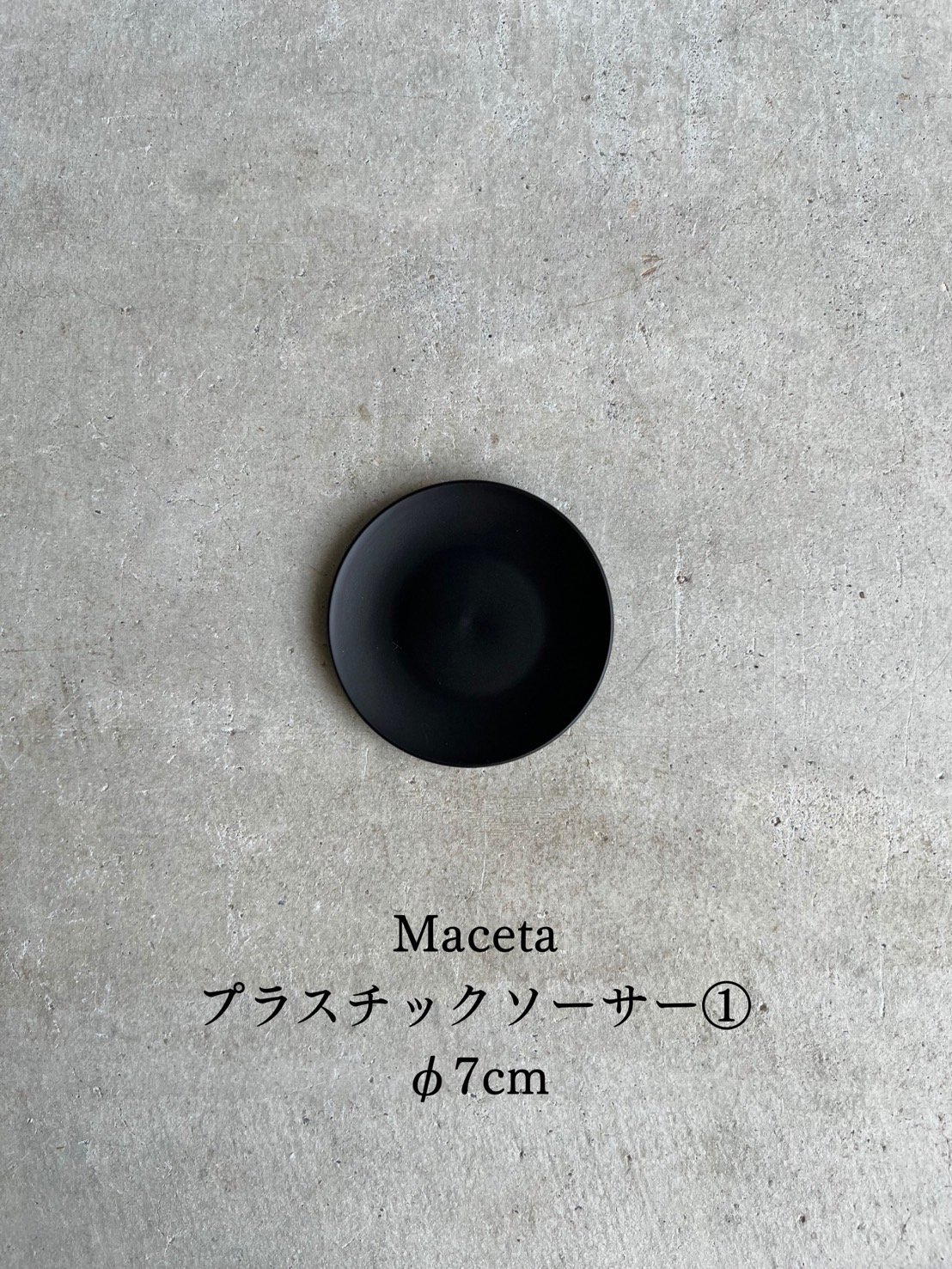 サンセベリア インフィニティ「Sansevieria Infinity 」57I | SHOU