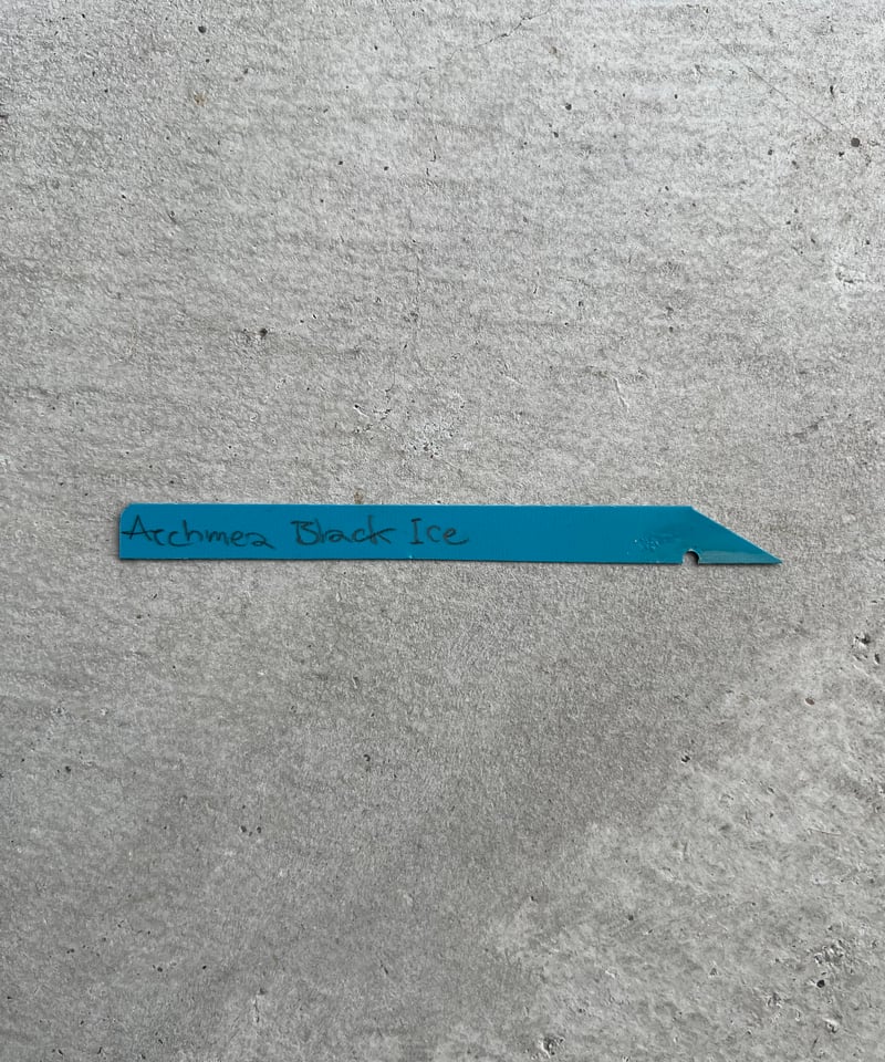 エクメア チャンティニー ブラック アイス 「 Aechmea chantinii Black