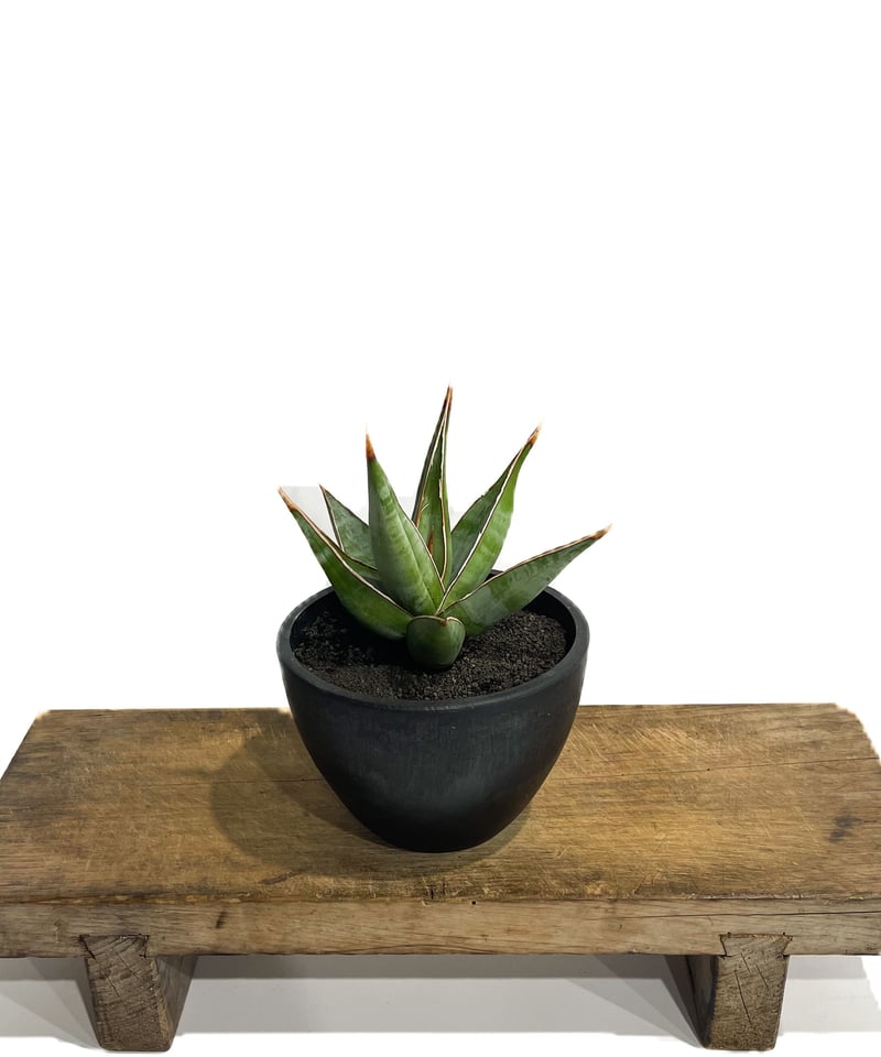 超貴重】キノの旅 キノ サンパン CakeRabbits プレイマット 超貴重