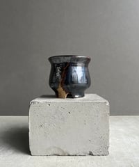 サンセベリア マニー パッキャオ 斑入 Sansevieria Manny Pacquiao