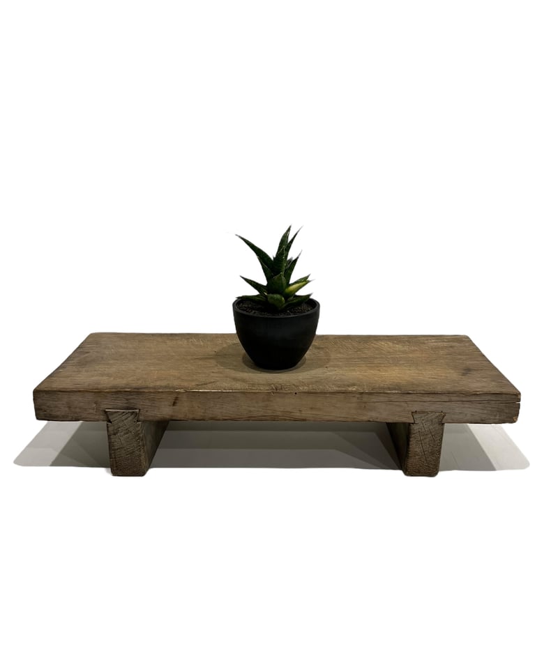 サンセベリア マニー パッキャオ 斑入 Sansevieria Manny Pacquiao