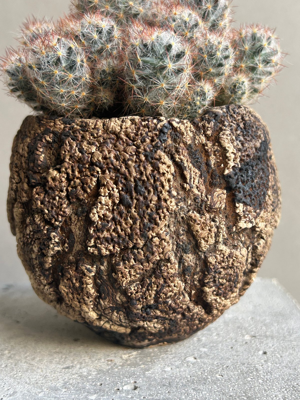 マミラリア 松霞+ plantsmonsters pot 「Mammillaria multi