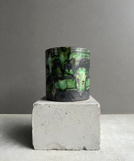 アガベ悪魔　大株➕ビカクシダJenny#1 oc 子株　最高峰 蘭便 アガベ チタノタ GGセレクト株 FO−76シエラミクスティカ