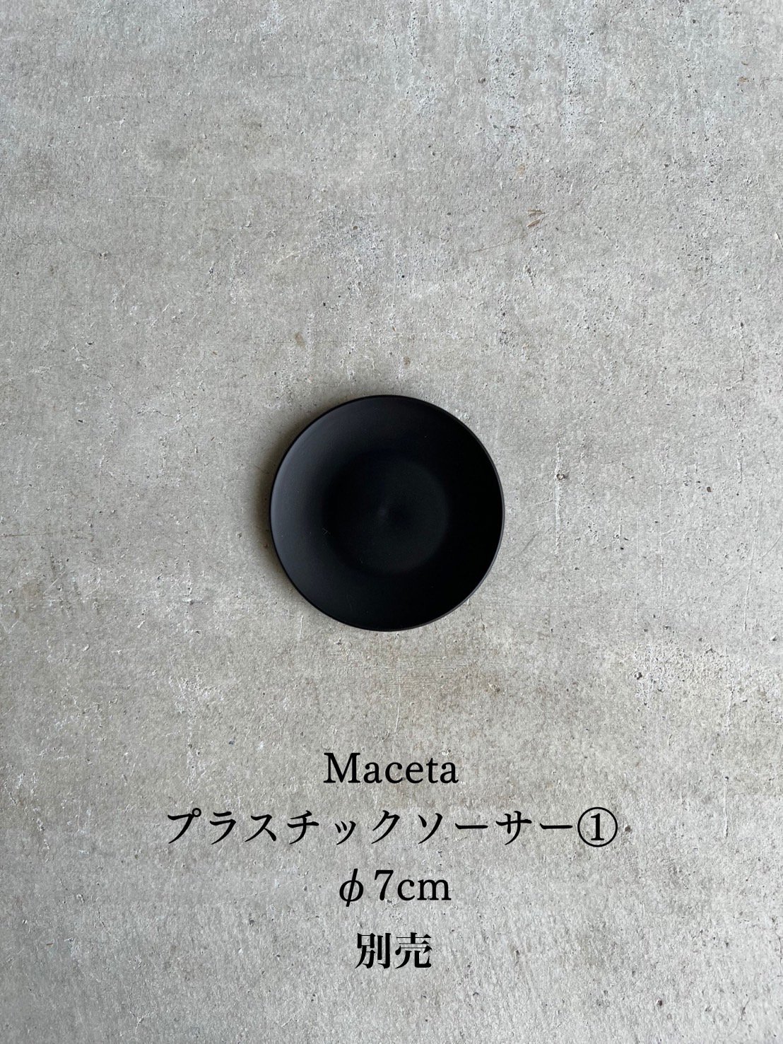 サンセベリア ノック ユン「Sansevieria Nok Yung」60I | SHOUCH