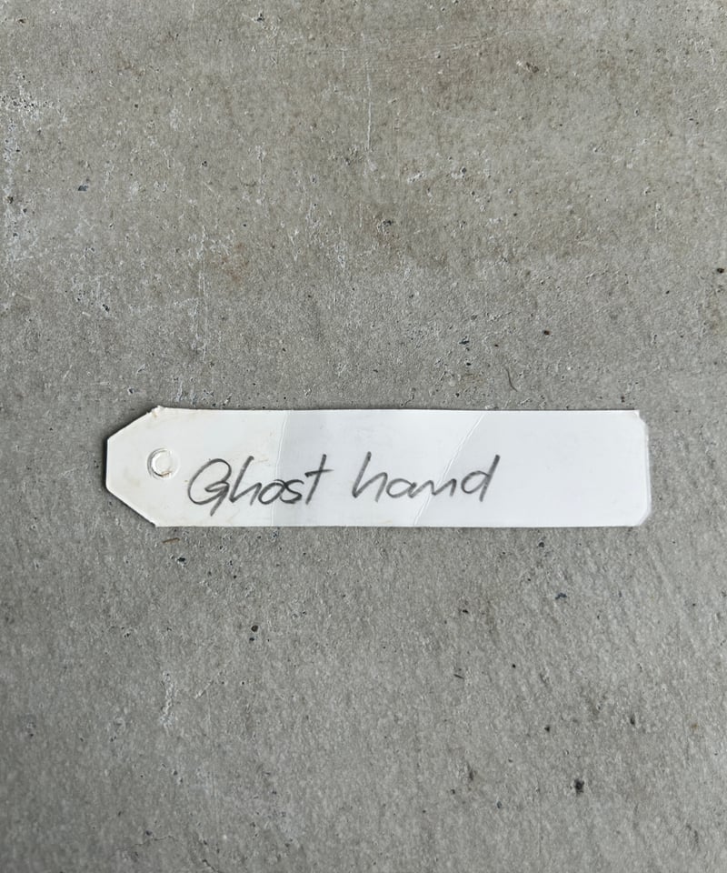 ビカクシダ ゴースト ハンズ 子株 (P. ウィリンキーx P.コロナリウム