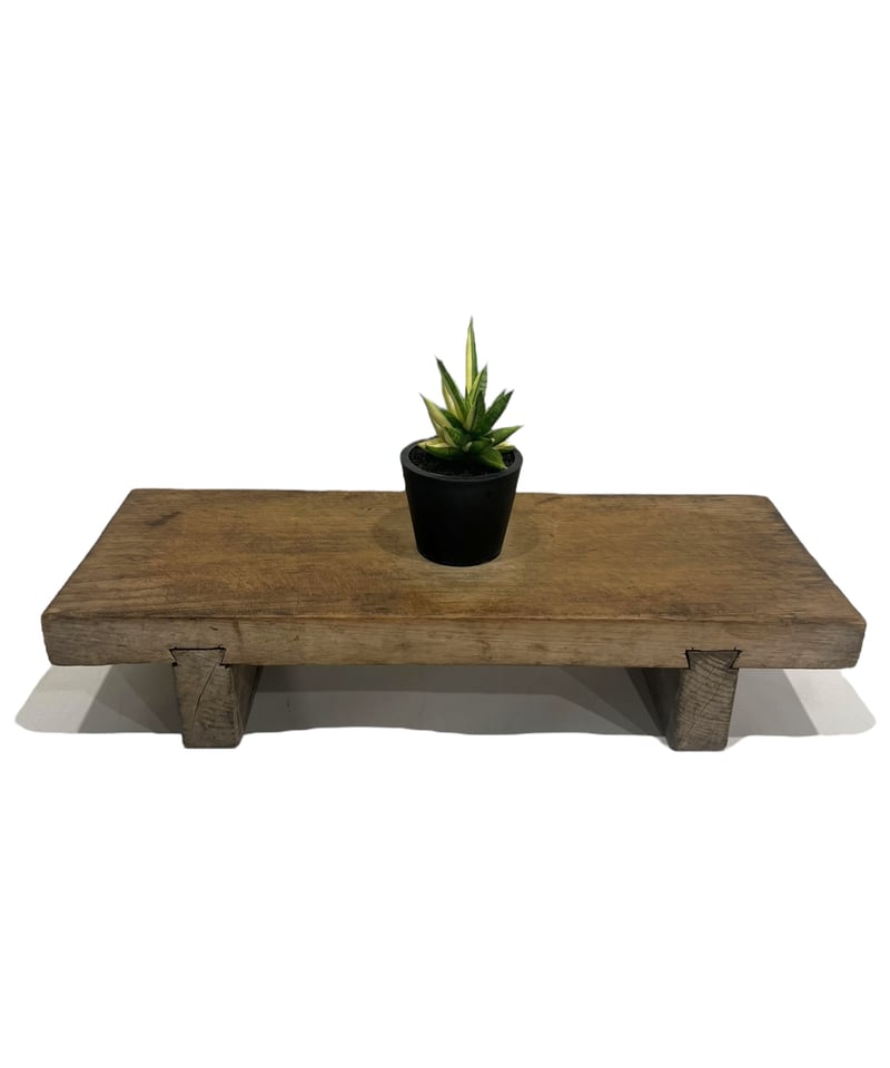 サンセベリア ミン マニー 斑入 (ハーフムーン ) 「Sansevieria Ming Ma