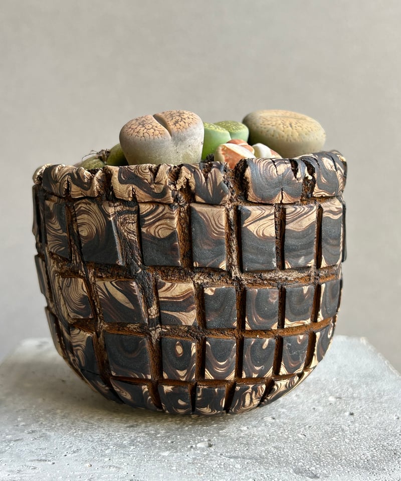 リトープス + plantsmonsters pot「Lithops」70L | SHOUCH