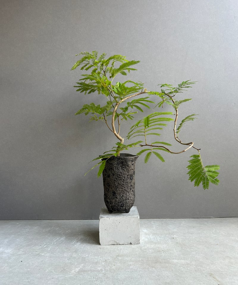 エバーフレッシュ 120cm 楽天市場】エバーフレッシュ フェイクグリーン Sサイズ 120cm 大型