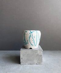 ホヤ シギラティス シルバー ボルネオ 「Hoya sigilatis Silver ホヤ シギラティス シルバー ボルネオ 「Hoya sigilatis Silver