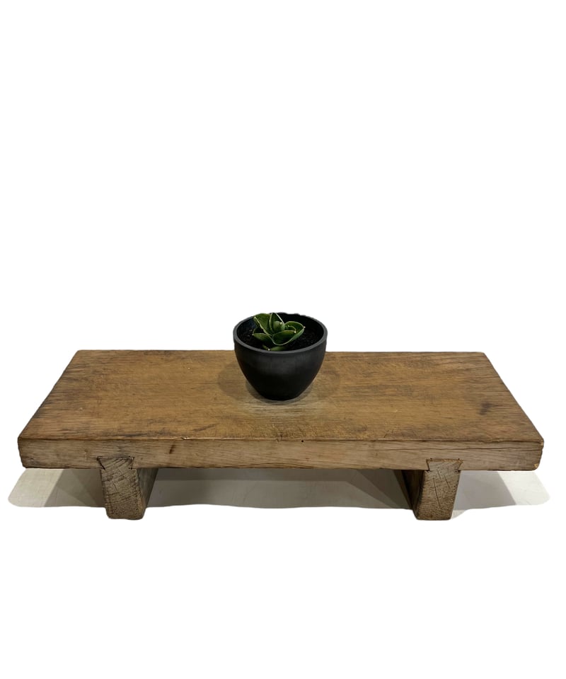 サンセベリア ベンジャロン「Sansevieria Benjarong」44T | SHOUC