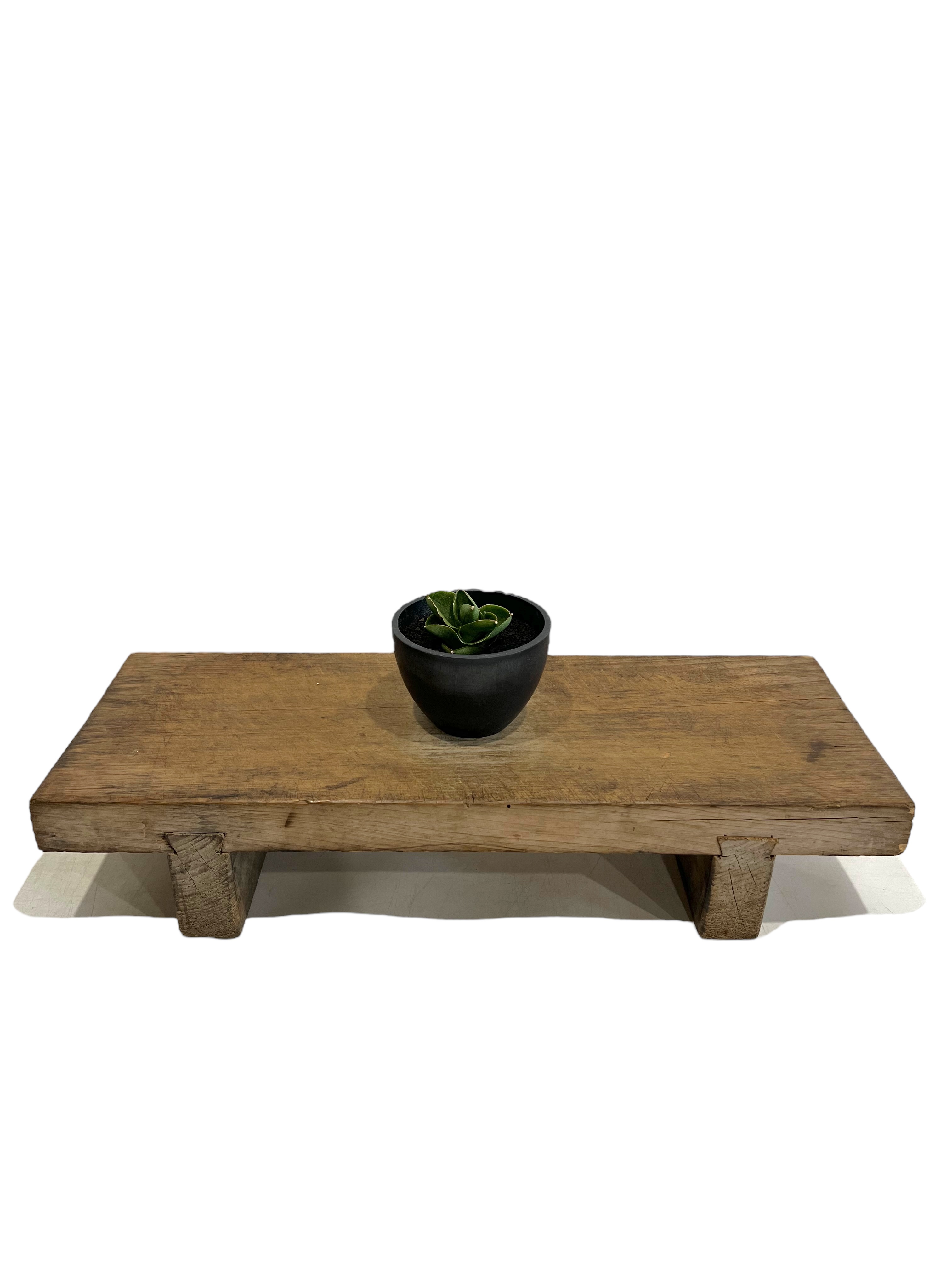 サンセベリア ベンジャロン「Sansevieria Benjarong」44T | SHOUC