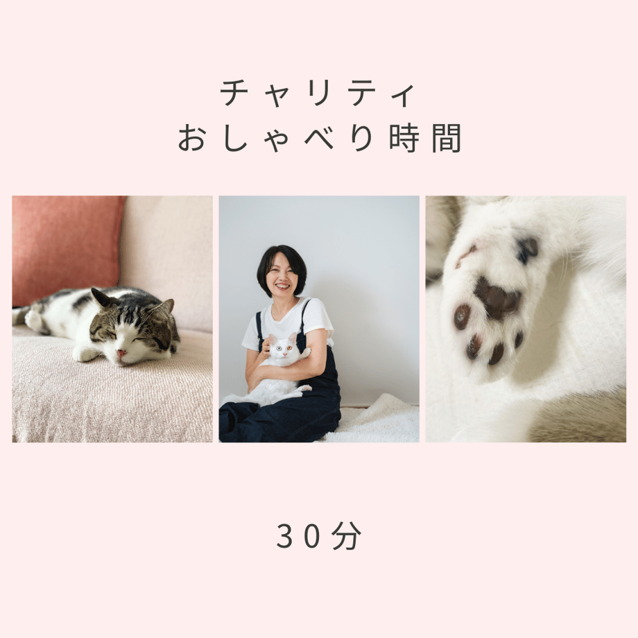 63ff1c08f54f677dffb0afe1