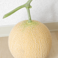 7月出荷　トキメロン（1玉）