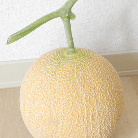 7月出荷　トキメロン（1玉）