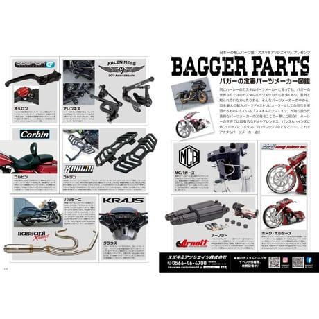 BAGGER vol.２（VIBES４月号増刊）