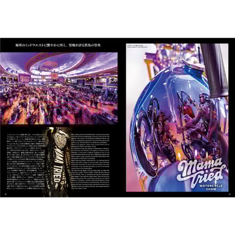 VIBES vol.378（2025年4月号）
