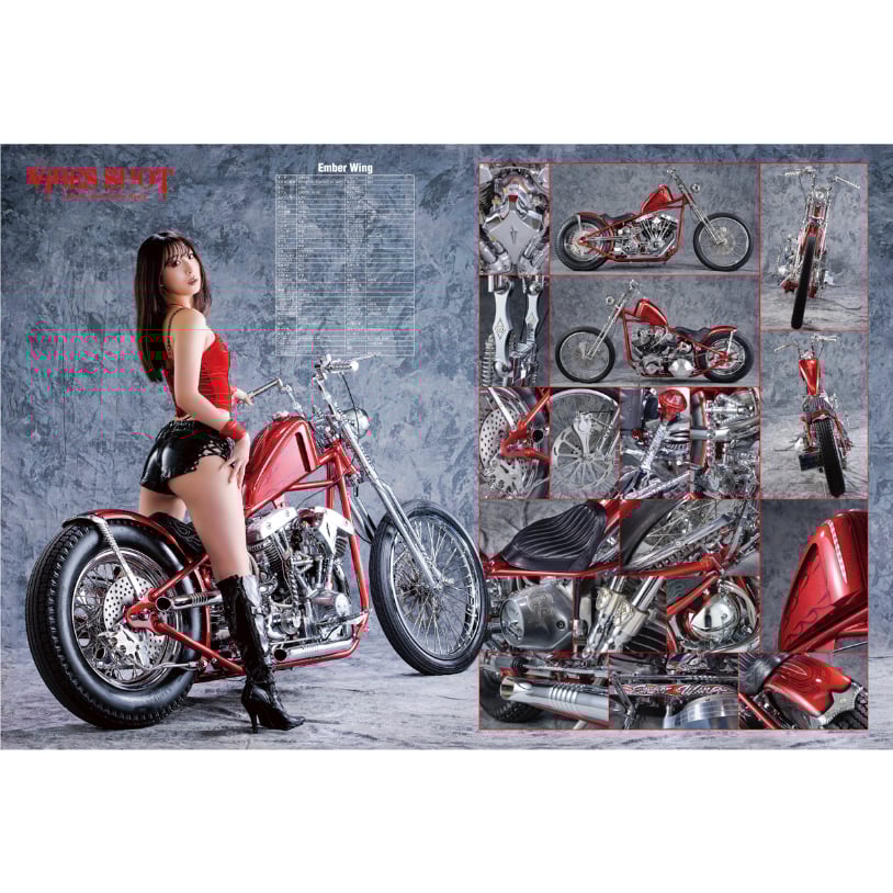 本日特別価格大巡礼★隕石★困難もを乗り越え輝く未来へ幸せの勾玉オルゴナイト 2025.10.4 DAY1/ 鹿児島県 小正醸造 □TROPICAL TIGER [芋焼酎