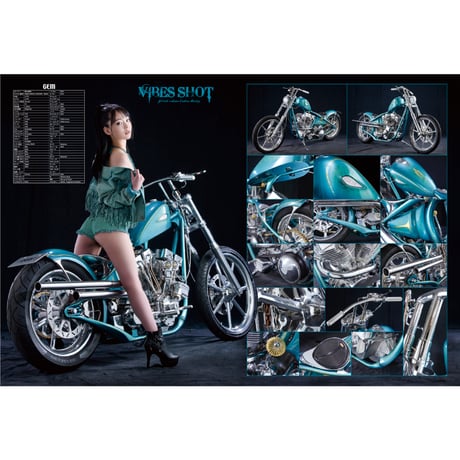 VIBES vol.378（2025年4月号）