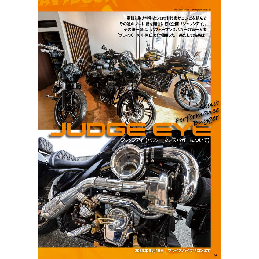 BAGGER vol.2(VIBES4月号増刊) | VIBES MAGAZINE SHOP BAGGER vol.2(VIBES4月号増刊) | VIBES MAGAZINE SHOP